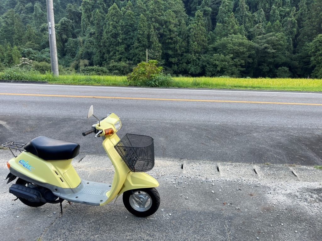 愛知県豊田市発 YAMAHA Mint ミント 1YU 外装きれい 220821(50cc以下)｜売買されたオークション情報、yahooの商品 ...