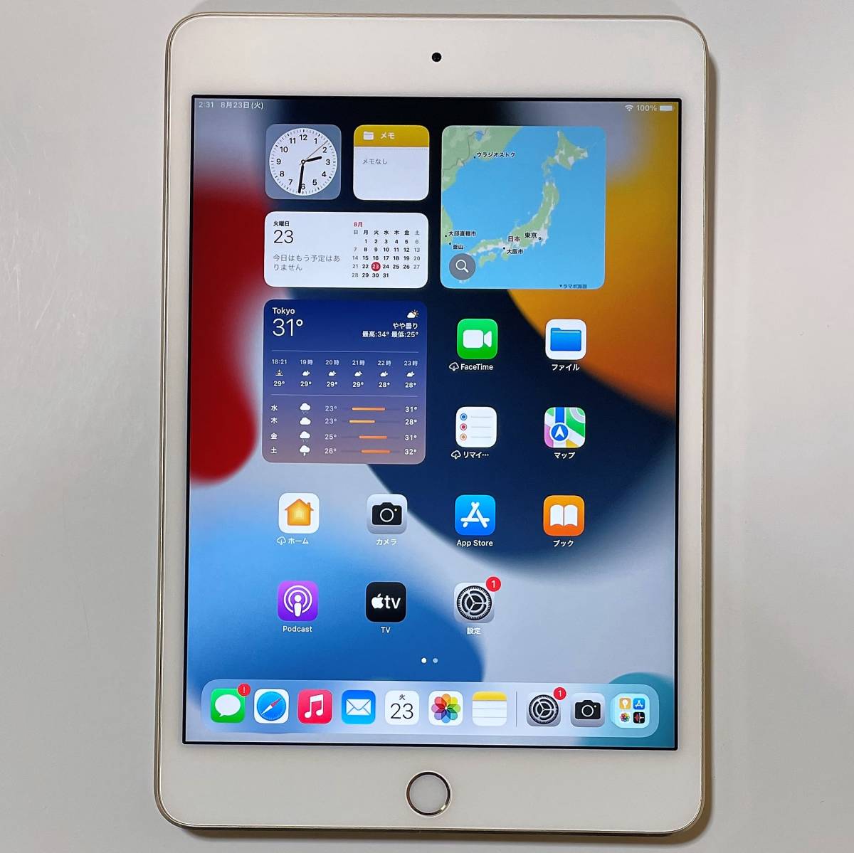 Apple iPad mini 4 ゴールド 64GB MK9J2J/A Wi-Fiモデル iOS15.6.1