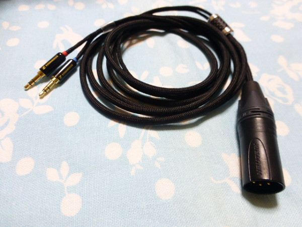 HA-FX1100 JVC WOODシリーズ カナル型イヤホン JVCケンウッド