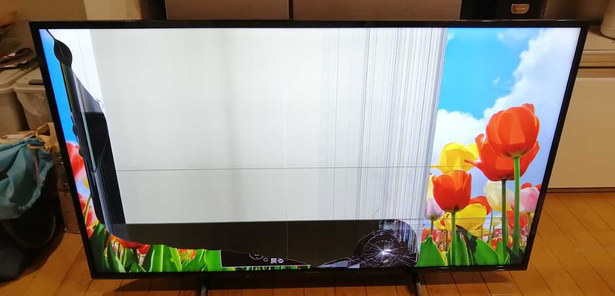 最終出品】パナソニック Panasonic テレビ TV TH-49GX750 49インチ 