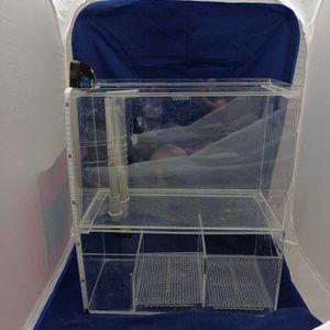 シマヤッコの値段と価格推移は 14件の売買情報を集計したシマヤッコの価格や価値の推移データを公開