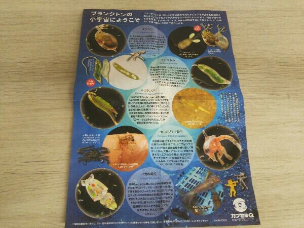 得価，正規品 海洋堂 カプセルQミュージアム ミクロコスモス プランクトン大全 全5種セット(生き物)｜売買されたオークション情報、yahooの商品情報をアーカイブ公開 - オークファン 生き物