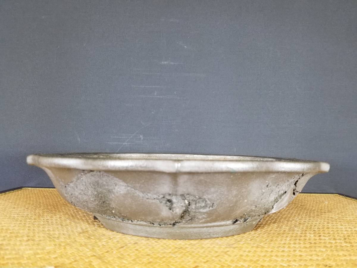 【本物保証，セール】 盆栽幸 十王堂松泉ー外縁虫食輪花鉢 和鉢 左右：36.5cmA-C(鉢)｜売買されたオークション情報、yahooの商品情報をアーカイブ公開 - オークファン 鉢