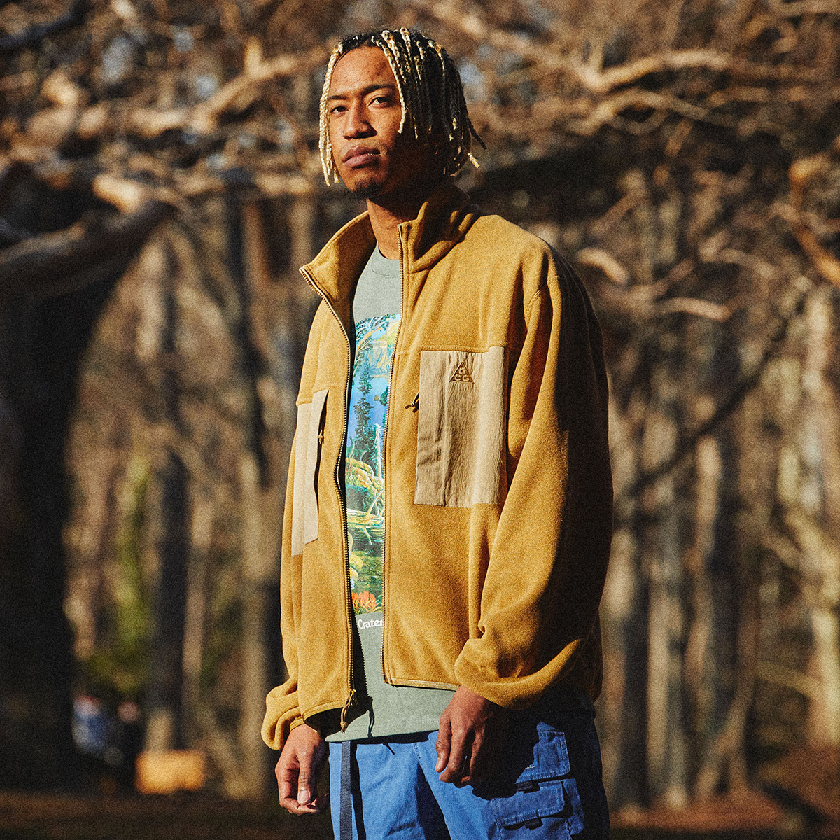 L NIKE ACG ポーラテック WOLF TREE フリース ジャケット @16500円 XL 