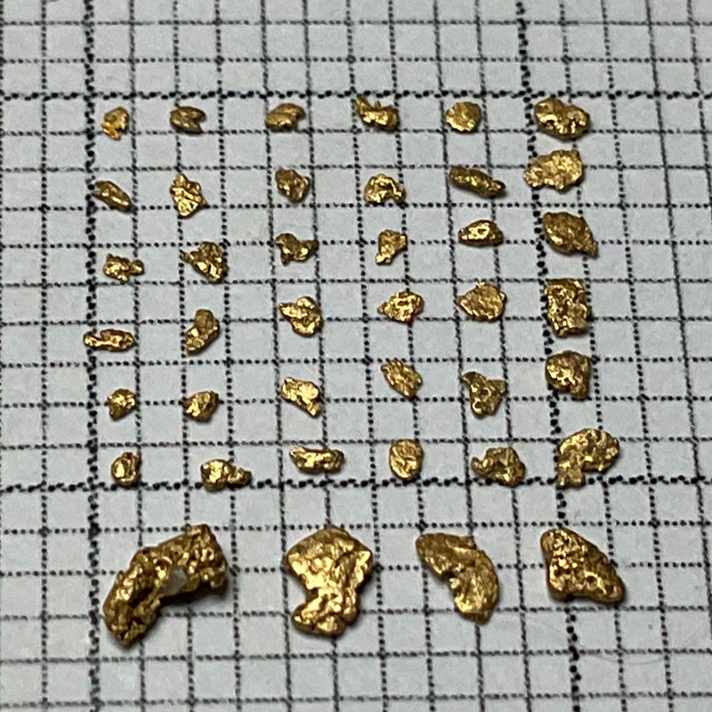 ☆砂金☆北海道新十津川町産☆ 40粒 0.07g 石喰い トレジャー