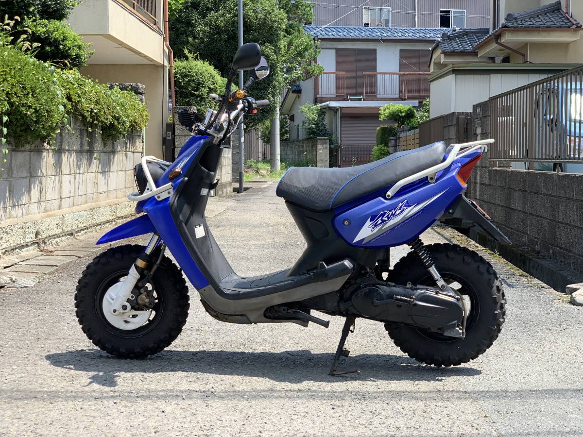 bws100 bw