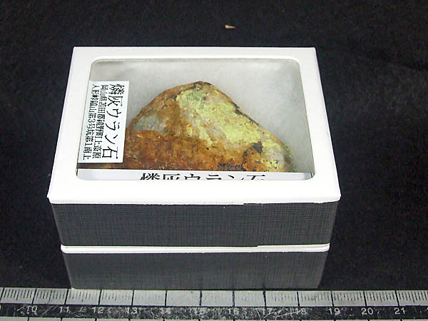 通販安心 超稀産 燐灰ウラン鉱 オーチュナイト Autunite 6g ドイツ産鉱物標本 岩石 鉱物 Benue Eprocurement Be Gov Ng 通販安心 超稀産 燐灰ウラン鉱 オーチュナイト Autunite 6g ドイツ産鉱物標本 岩石 鉱物 Benue Eprocurement Be Gov Ng