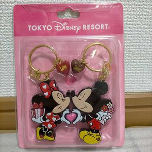 ディズニー ペアキーチェーンの値段と価格推移は 58件の売買情報を集計したディズニー ペアキーチェーンの価格や価値の推移データを公開