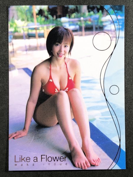 井上 和香 BOMB 2004 094 スペシャル箔押しカード 水着 グラビア 