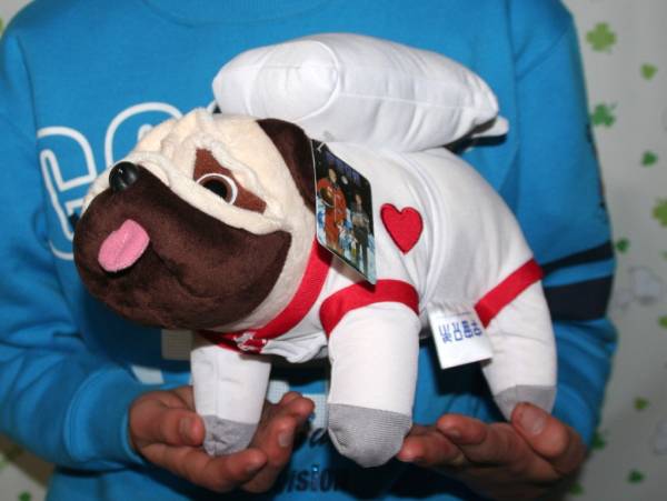 有 Big 宇宙兄弟 大きな アポ ぬいぐるみ Sl パグ 犬 キャラクター 売買されたオークション情報 Yahooの商品情報をアーカイブ公開 オークファン Aucfan Com