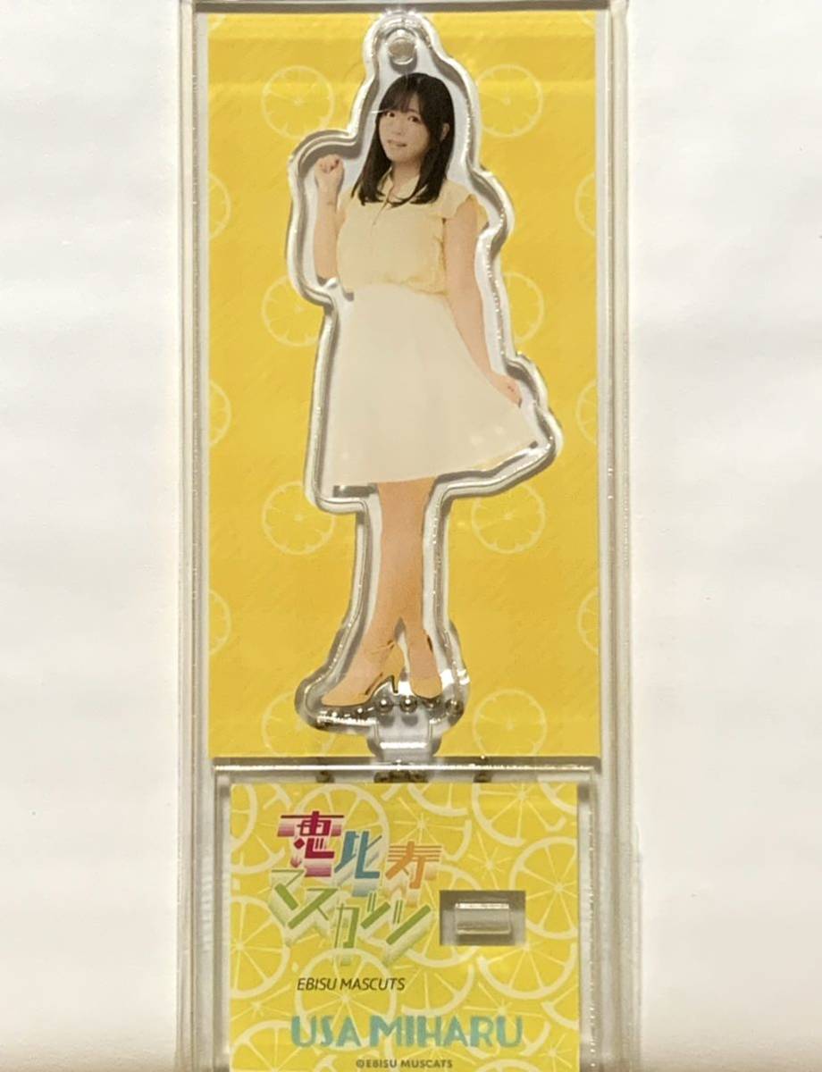 ザ・クロマニヨンズ 2019 PUNCH パンチ ツアー フーディ スウェット