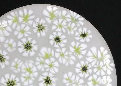 ガラス作家 藤原奈津江先生作 パートドヴェール香合 「白い花」 藤原