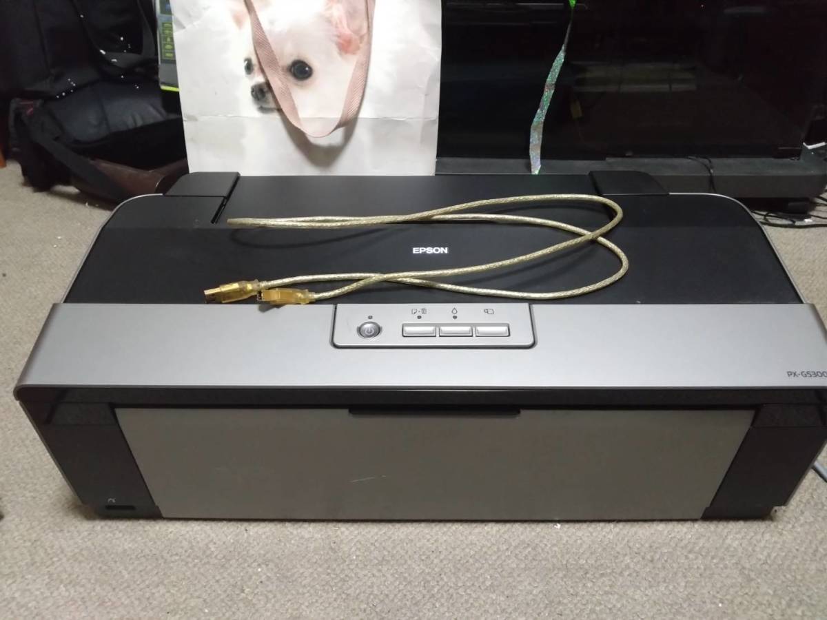 EPSON PX-G5300 インクジェットプリンター Colorio A3高画質 