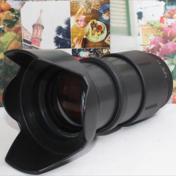28-200mm タムロン TAMRON III レンズレビュータムロン 交換レンズ 一