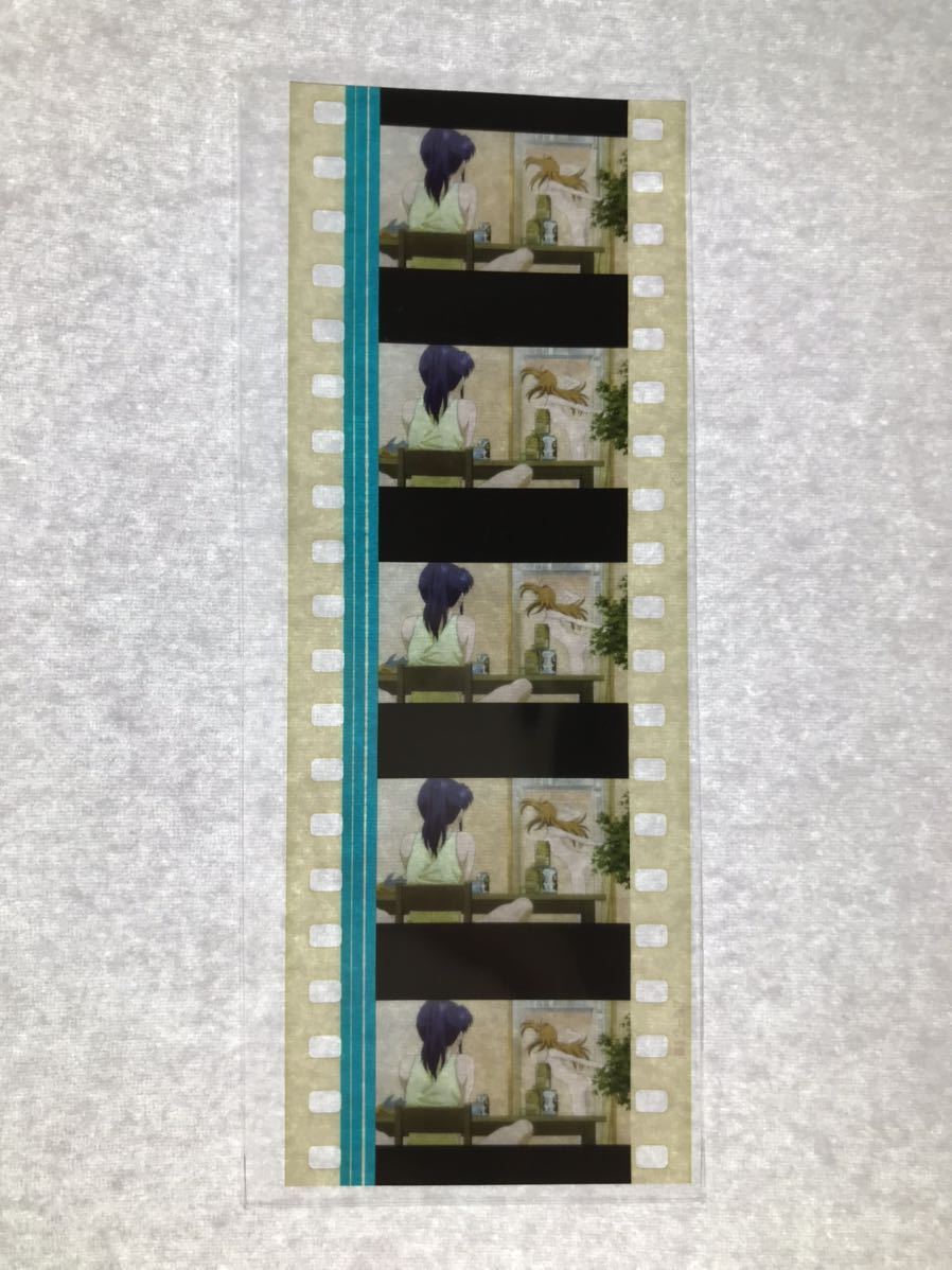 エヴァンゲリオン 連続5コマ 綾波レイ アスカ 35mm アスカラングレー 