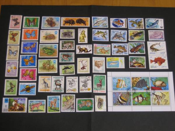 【昆虫・鳥・動物・恐竜・魚】動物図案切手９９枚セット！_1