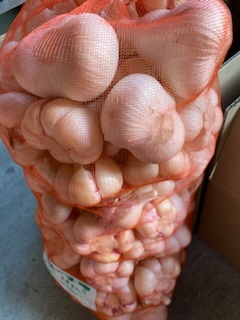 青森県 にんにく10Kg ML種可能 新物 種 青森県 新物青森県