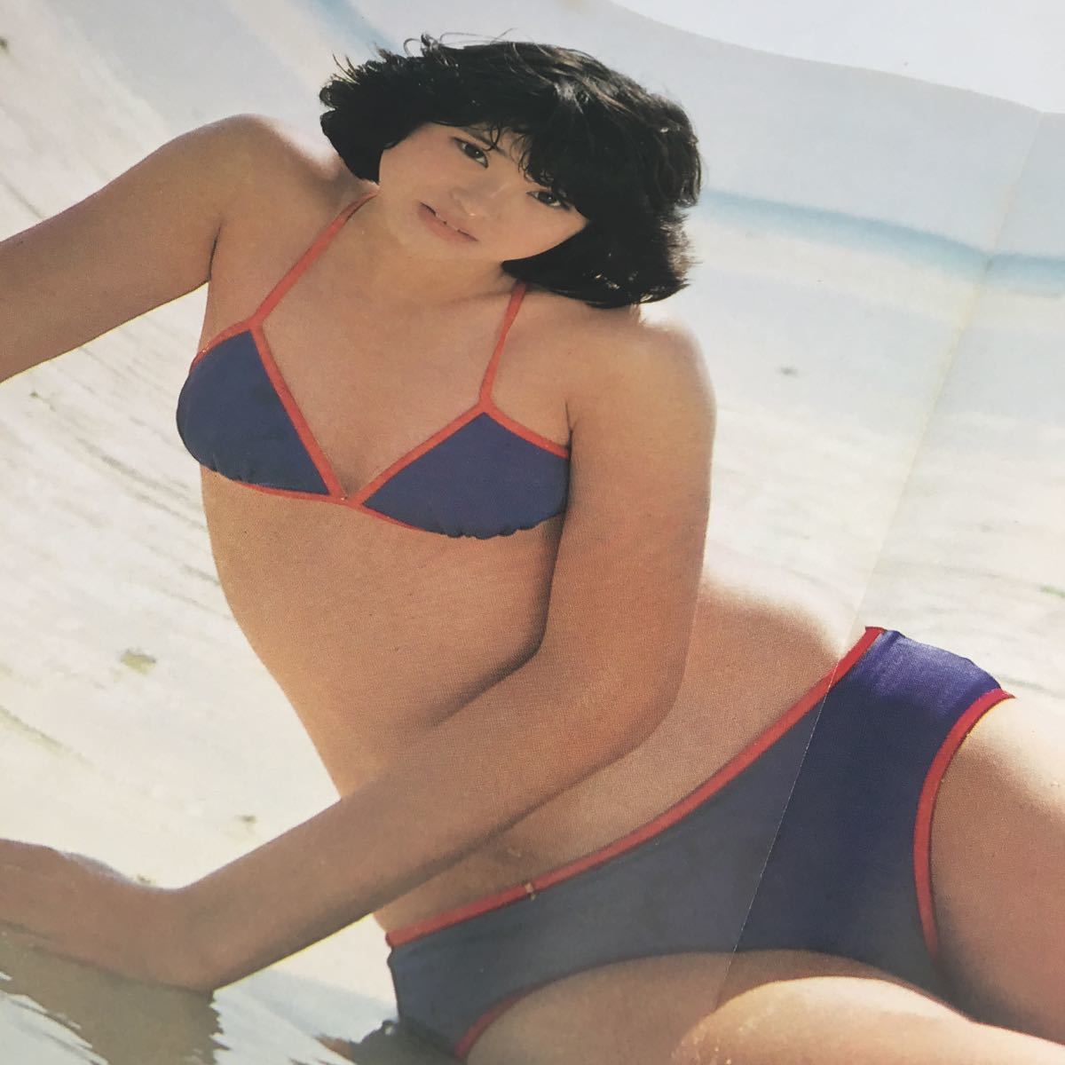同梱可】レア 松田聖子 タレント アイドル ピンナップ 切り抜き