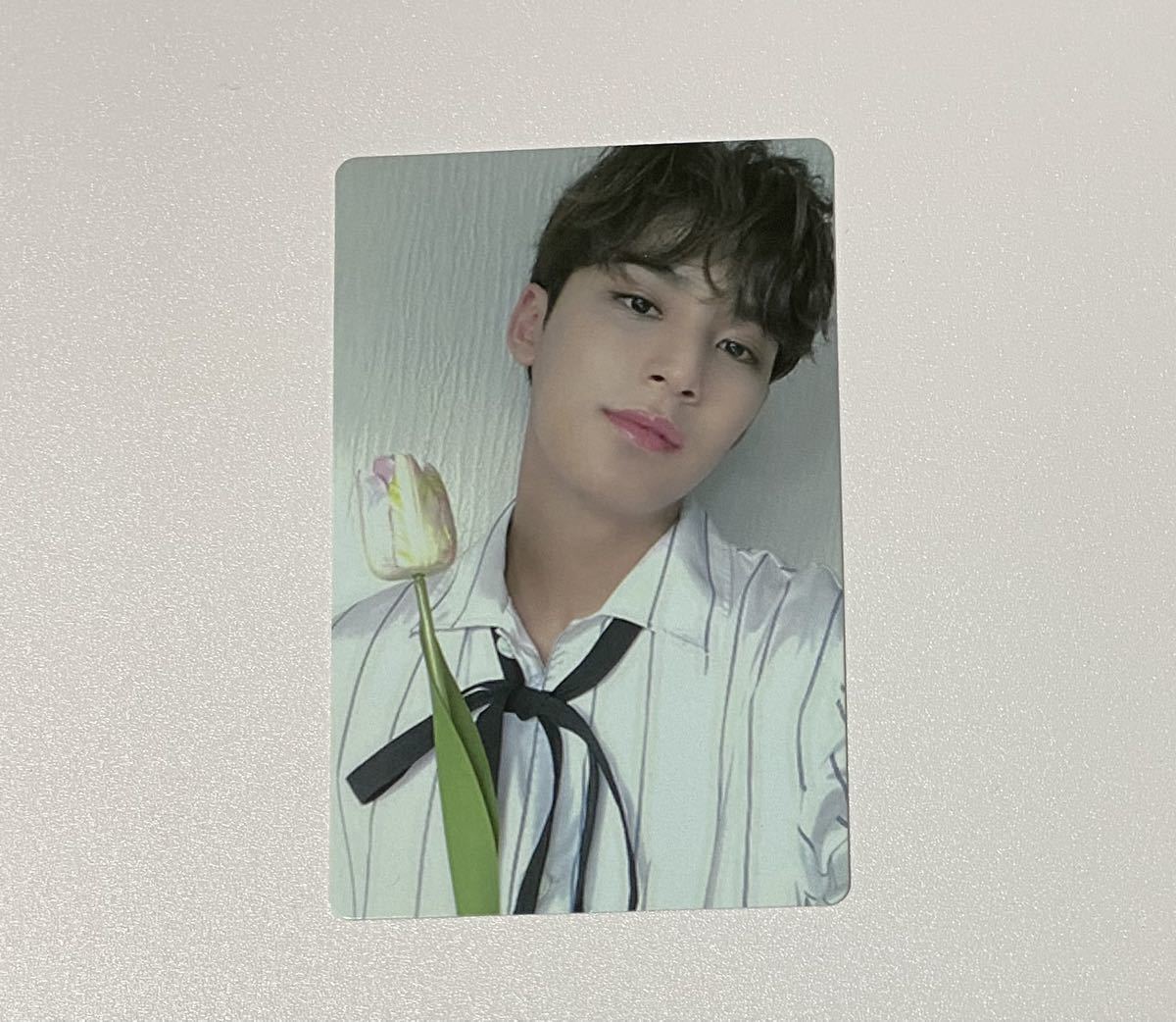 SEVENTEEN ミンギュ An Ode The Poet Ver. トレカ MINGYU Photocardの
