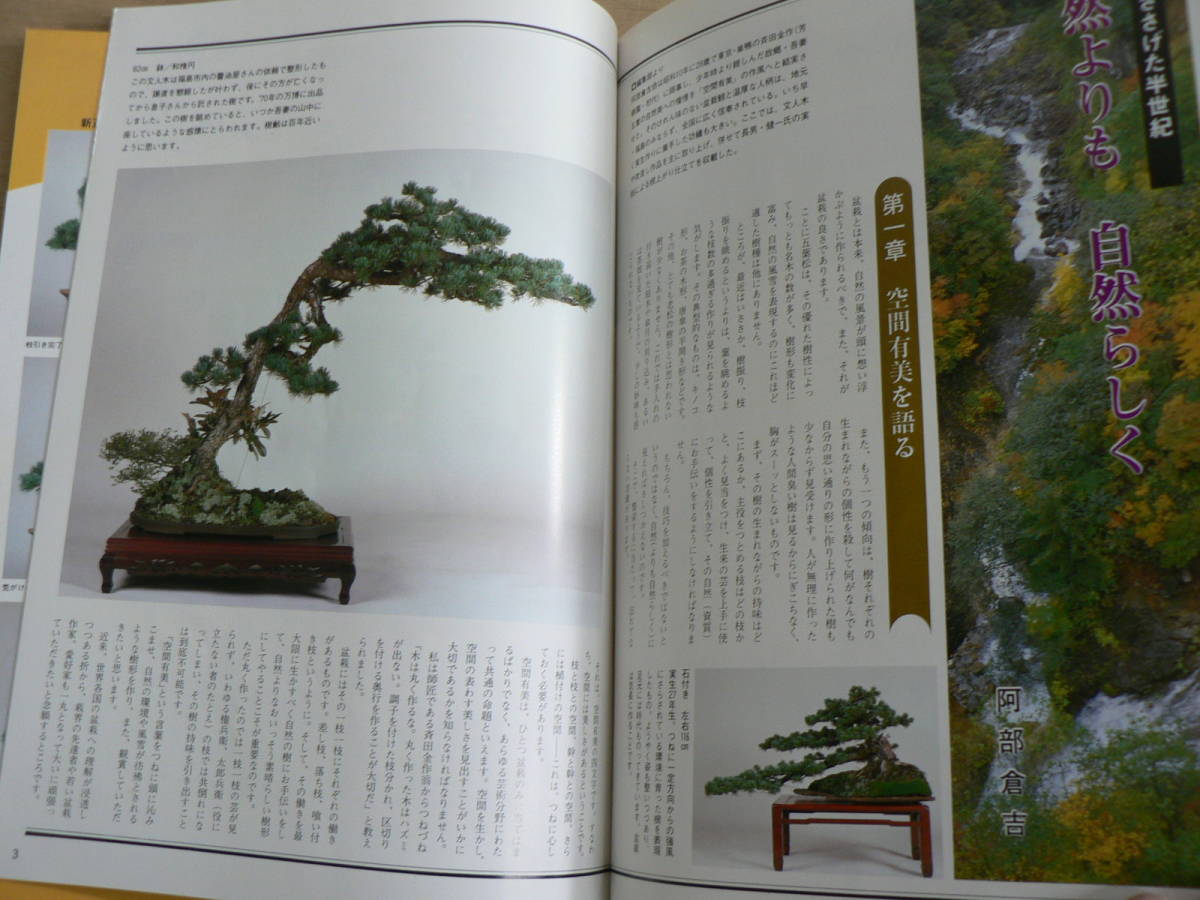 増刊号 月刊近代盆栽 五葉松のすべて⁄1987年12月 近代出版 2026年最新
