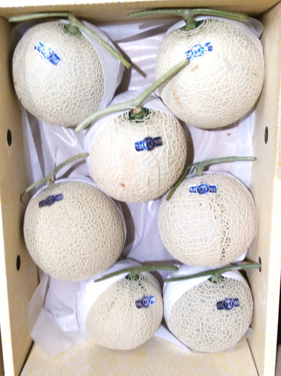 ☆高知県産☆【訳ありマスクメロン】6玉 約8.9㌔ A 3ク 野菜、果物