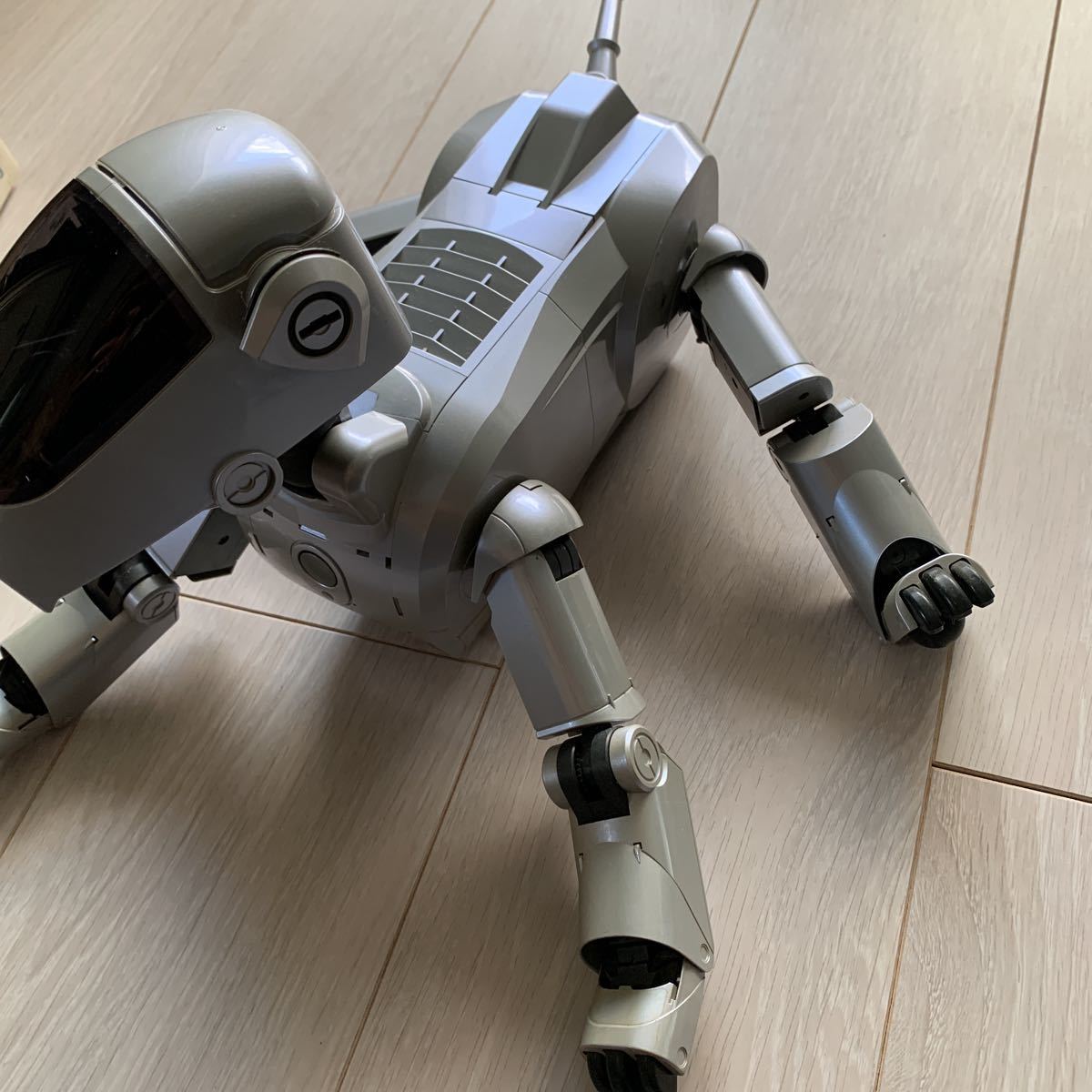 ジャンク AIBO アイボ SONY ソニー 犬型ロボット 初代 ERS-111 管理 
