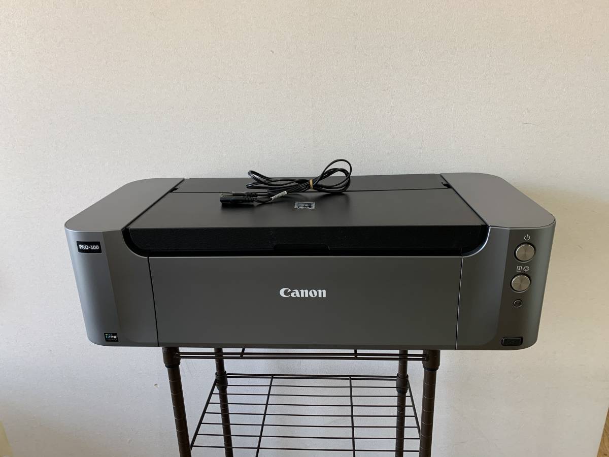 PIXUS インクジェットプリンター Canon PRO-100 旧モデル キヤノン 