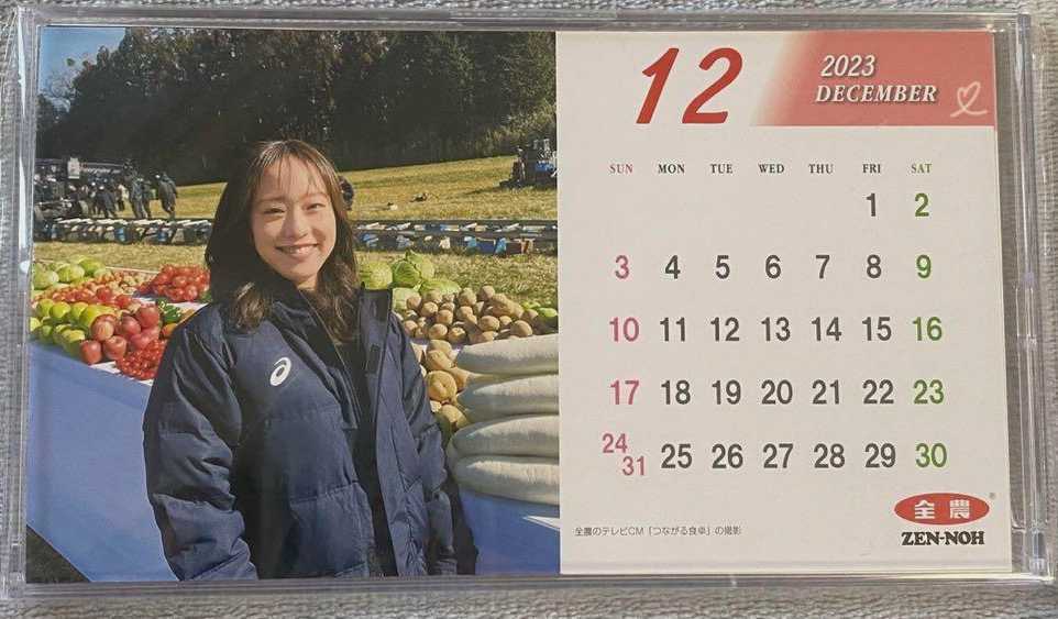 非売品】石川佳純 2023年 カレンダー 全農◇未開封新品◇希少レア(広告 