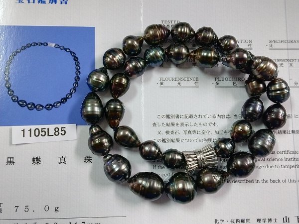 ネックレス タヒチ黒蝶真珠 11.0-14.5mm 連ネックレス品質保証書⁄鑑別 