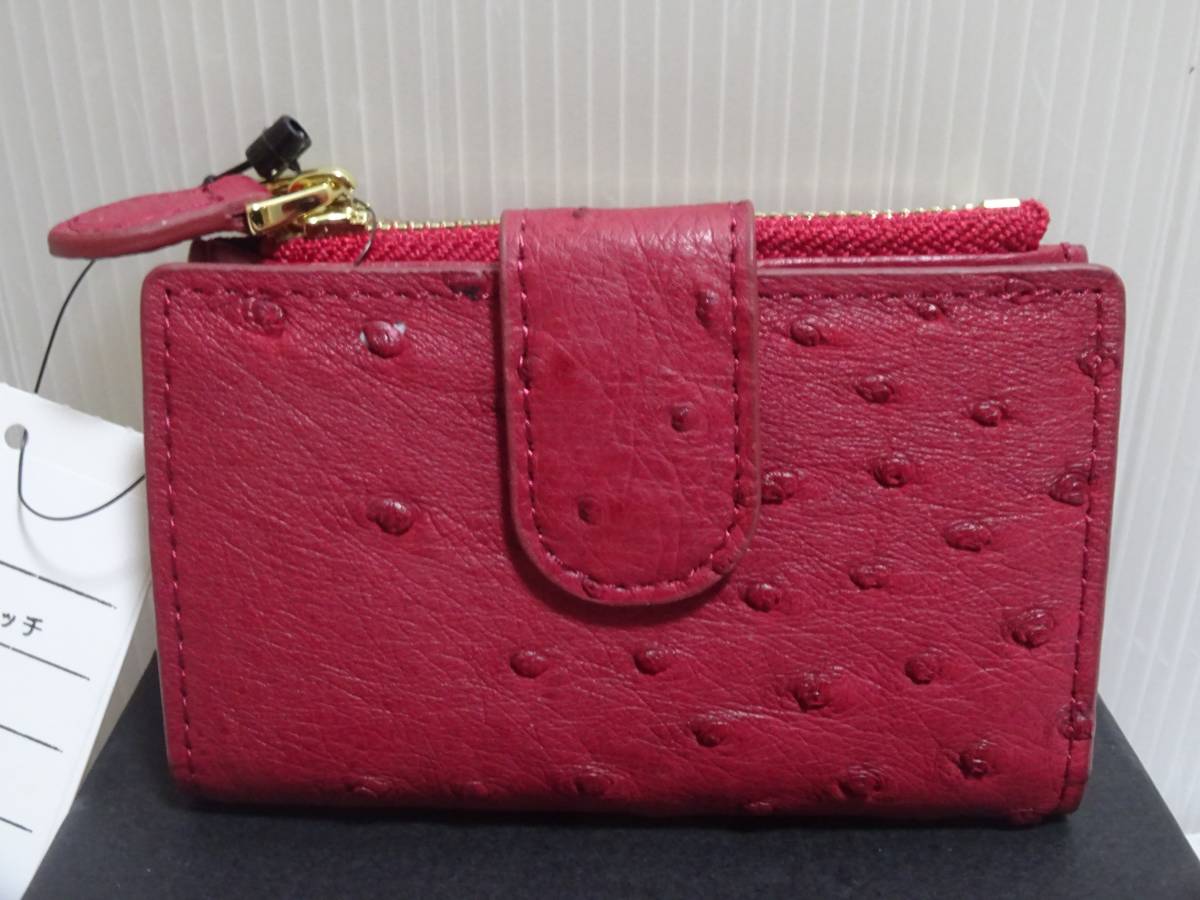 j-whiteオーストリッチ小銭入れボックス型 展示品新品未使用 2023年新作 オーストリッチ