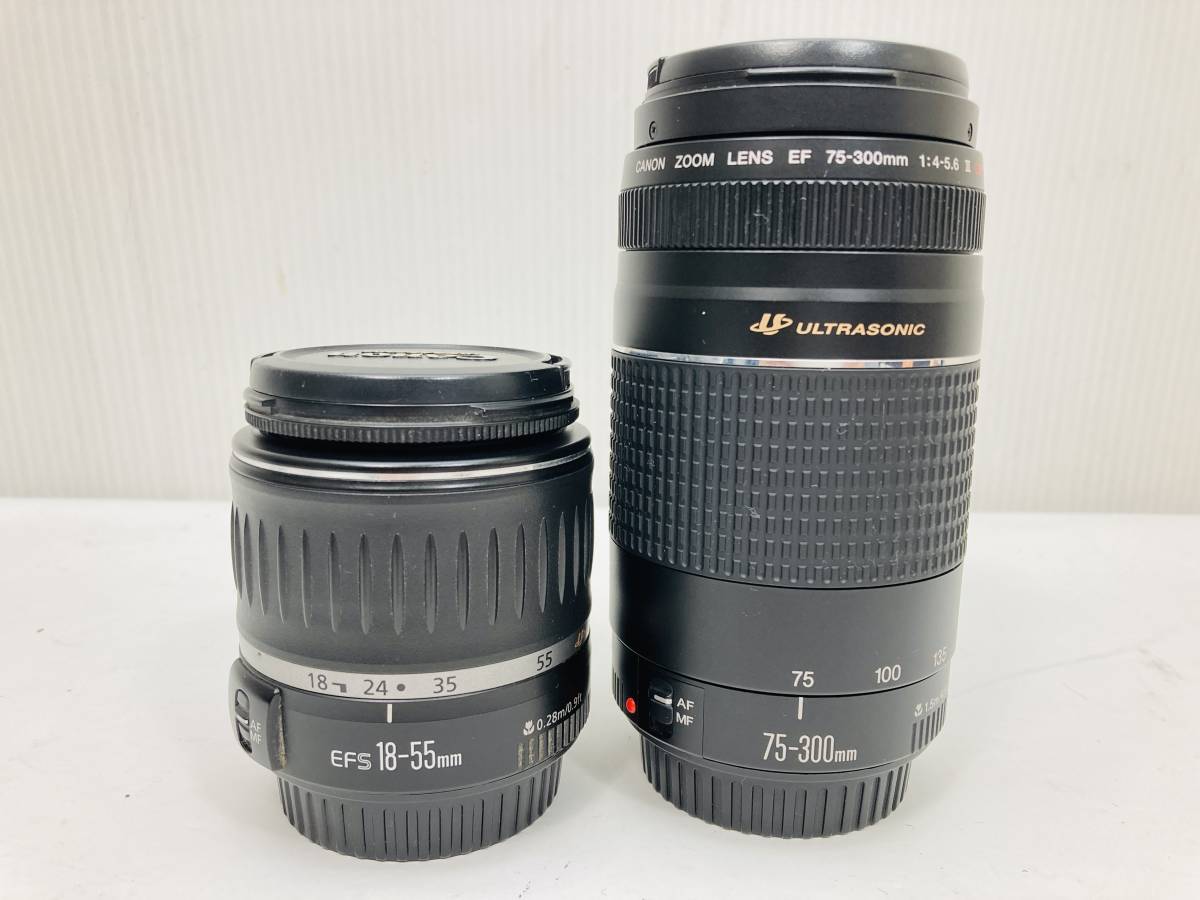 2月5日限定価格♪【超望遠レンズ】Canon EF 90-300mm 【公式通販】