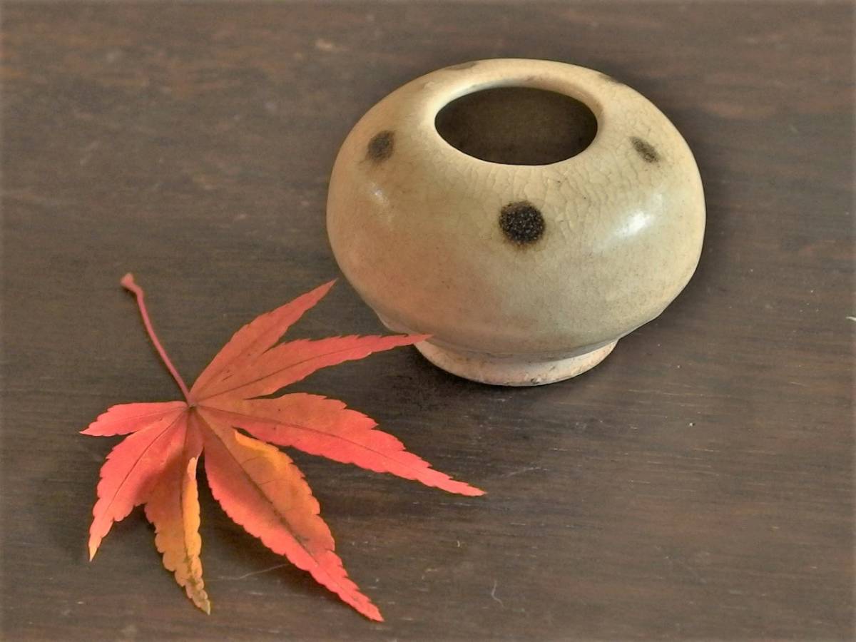文化遺産オンライン 忘れへんうちに Avant d'oublier