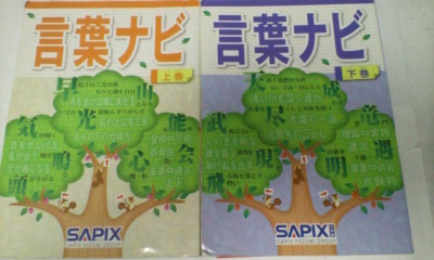 サピックス ＳＡＰＩＸ＊国語 ４年５年６年／言葉ナビ＊上巻下巻 ２冊＊完全版～書込少＊塾外非売品