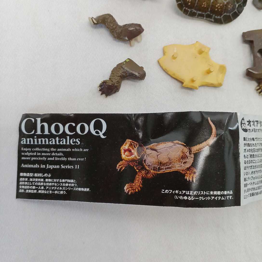 チョコQ 海洋堂 日本の動物11 シークレット オオアタマガメa b