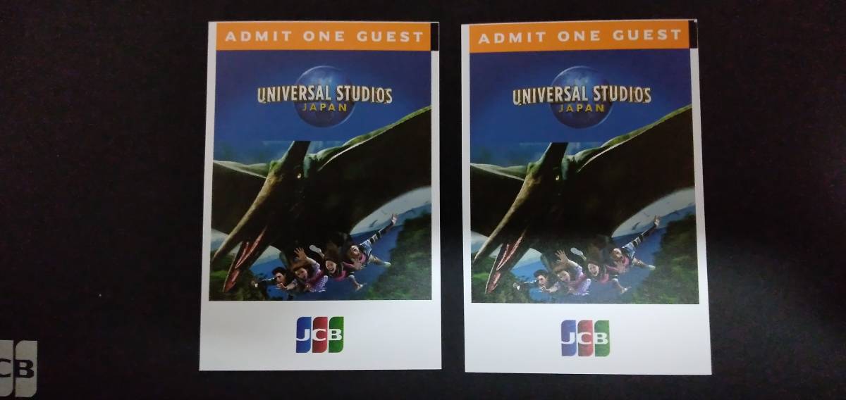 ユニバーサルスタジオジャパン USJ エクスプレスパス2枚 USJ 