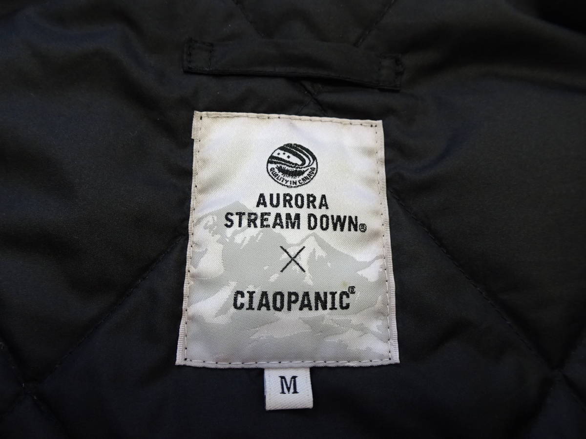 □0122□オーロラストリームダウン×チャオパニック AURORA STREAM DOWN 