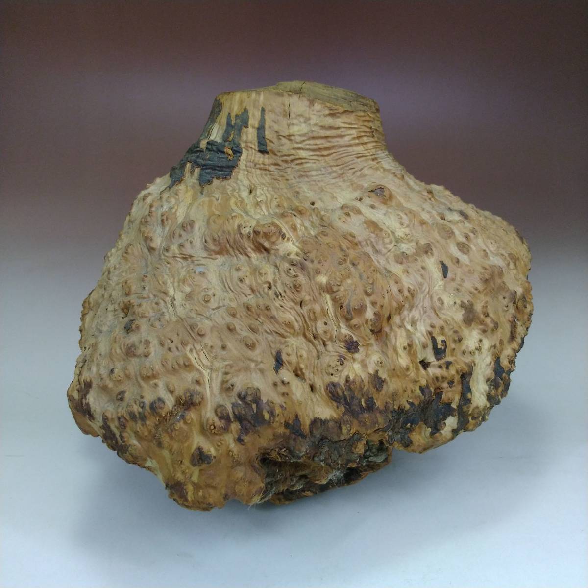 【送料無料 展示処分品】ブライヤー原木 （２）パイプ用品 パイプグッズ