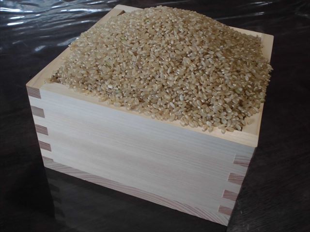 【無農薬米・有機肥料「ぴかまる」玄米20kg】食味値82 もちもち柔らか 2022年兵庫県産