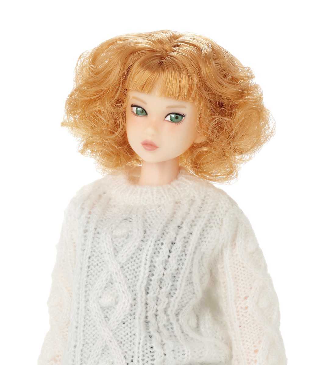 新品未使用○極美品○注意:本体のみ○CCS 22NY momoko 2nd○petworks 