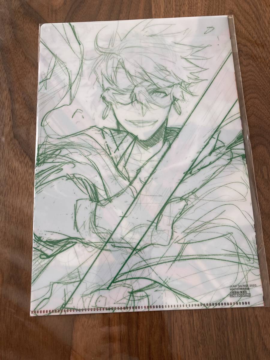 D.Gray-man　ディーグレイマン　ジャンプSQ RISE付録B5クリアファイル_2