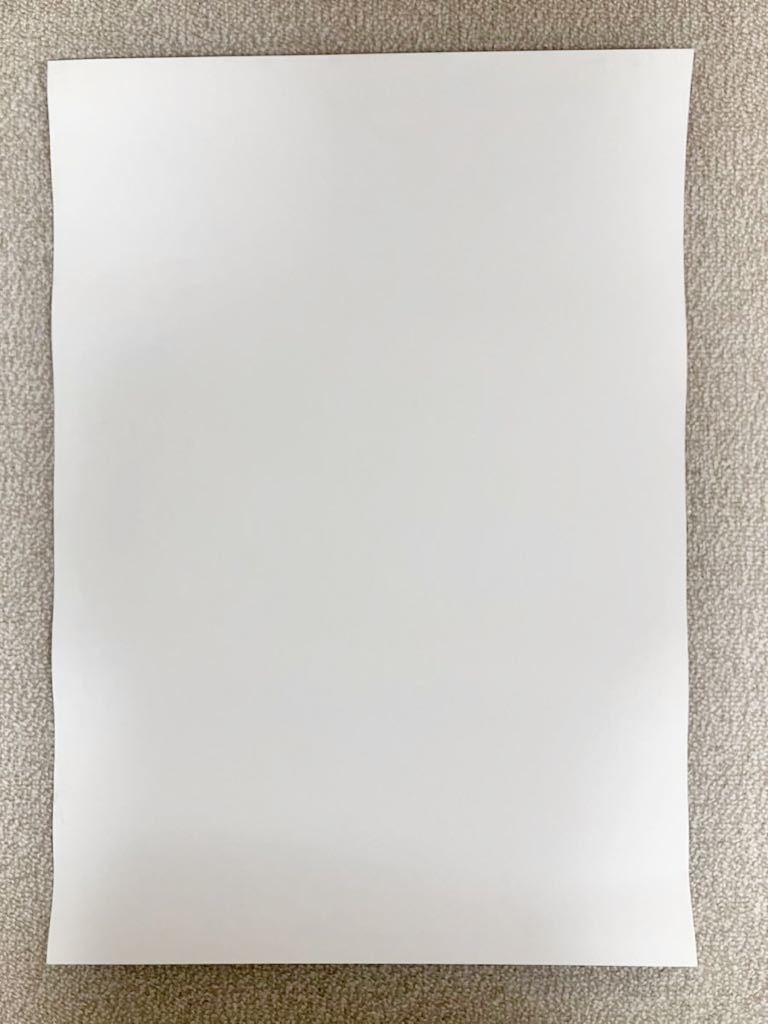 サントリー モルツ 樽生ビール 安田美沙子 ポスター 美女 SUNTORY 当時