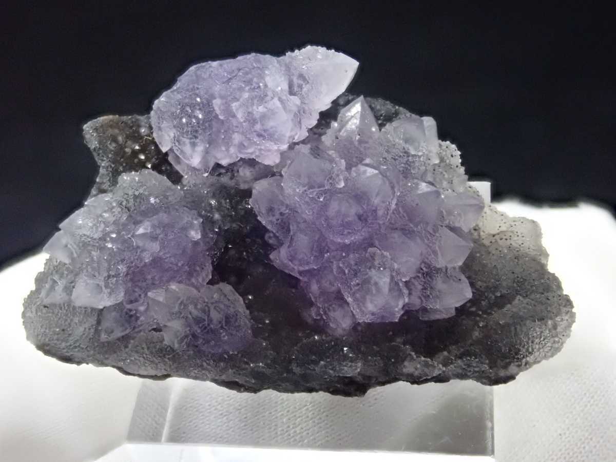 高品質 カルール産フラワーアメジスト 紫水晶 原石 標本(原石)｜売買
