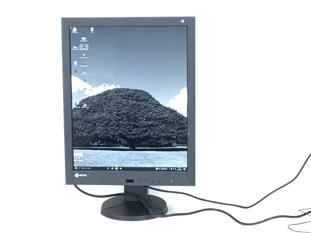 EIZO RadiForce RX250 21.3型縦型ワイドモニター1839h EIZO