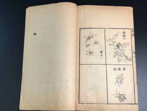 康熙版「秘伝花鏡」6冊揃 3-0124-62 絵入江戸倣唐本 插図木版画 美品