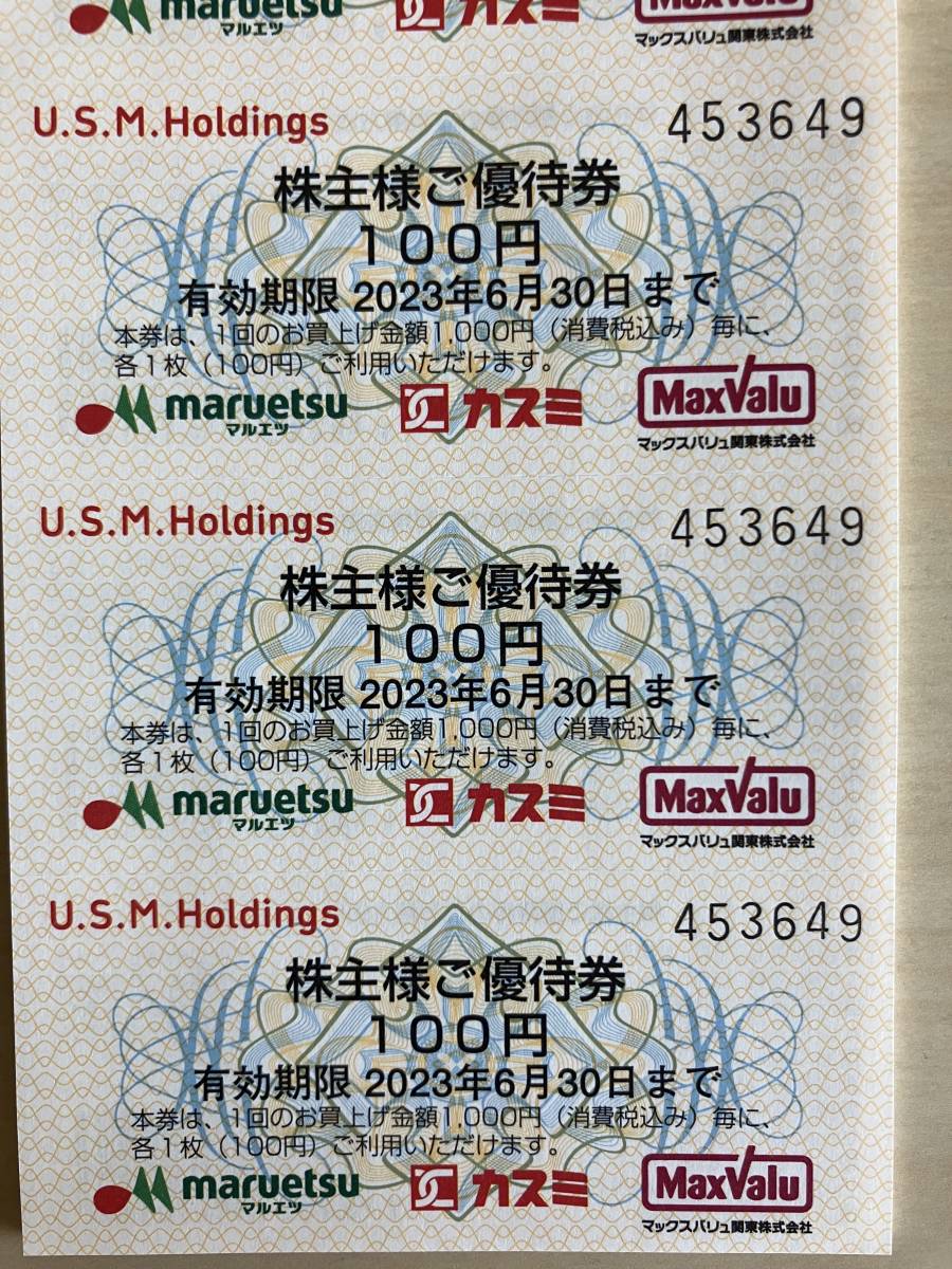 ユナイテッド・スーパーマーケット 株主優待 46,000円 マルエツ ユナイテッド・スーパーマーケット 株主優待 46,000円 マルエツ