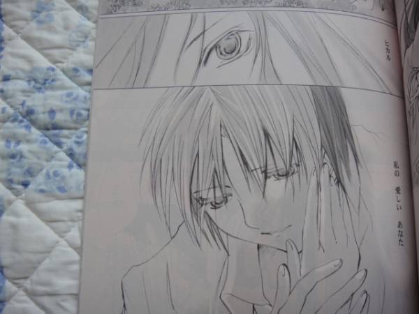 桜澤まあこ The Garden Of Everything ヒカ佐為 アキヒカ ヒカルの碁 売買されたオークション情報 Yahooの商品情報をアーカイブ公開 オークファン Aucfan Com