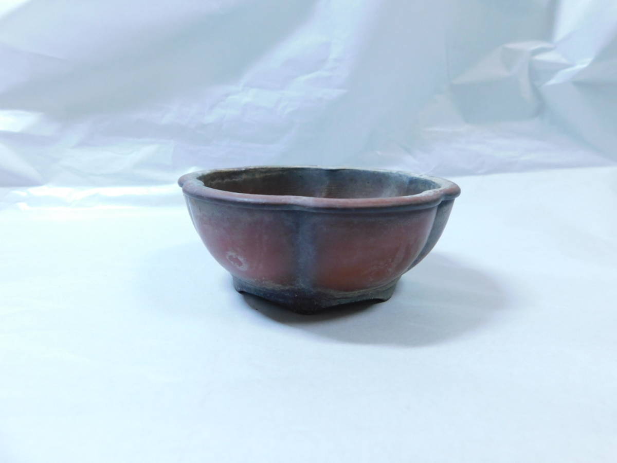 小鉢⑦ 114g 丸鉢 落款 在銘 窯 小鉢 盆栽 鉢植 ミニ鉢 盆栽鉢