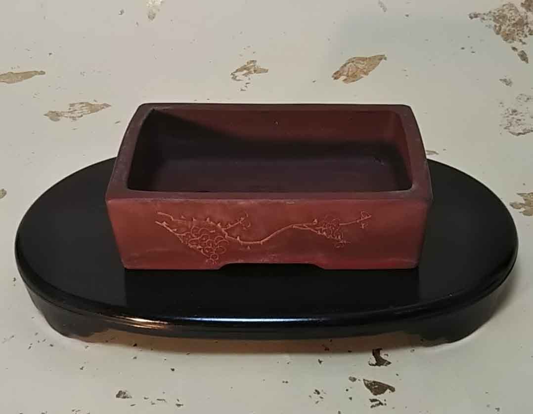 盆栽鉢中国宜興 朱泥 額入雲脚 楕円鉢 盆栽鉢中国宜興