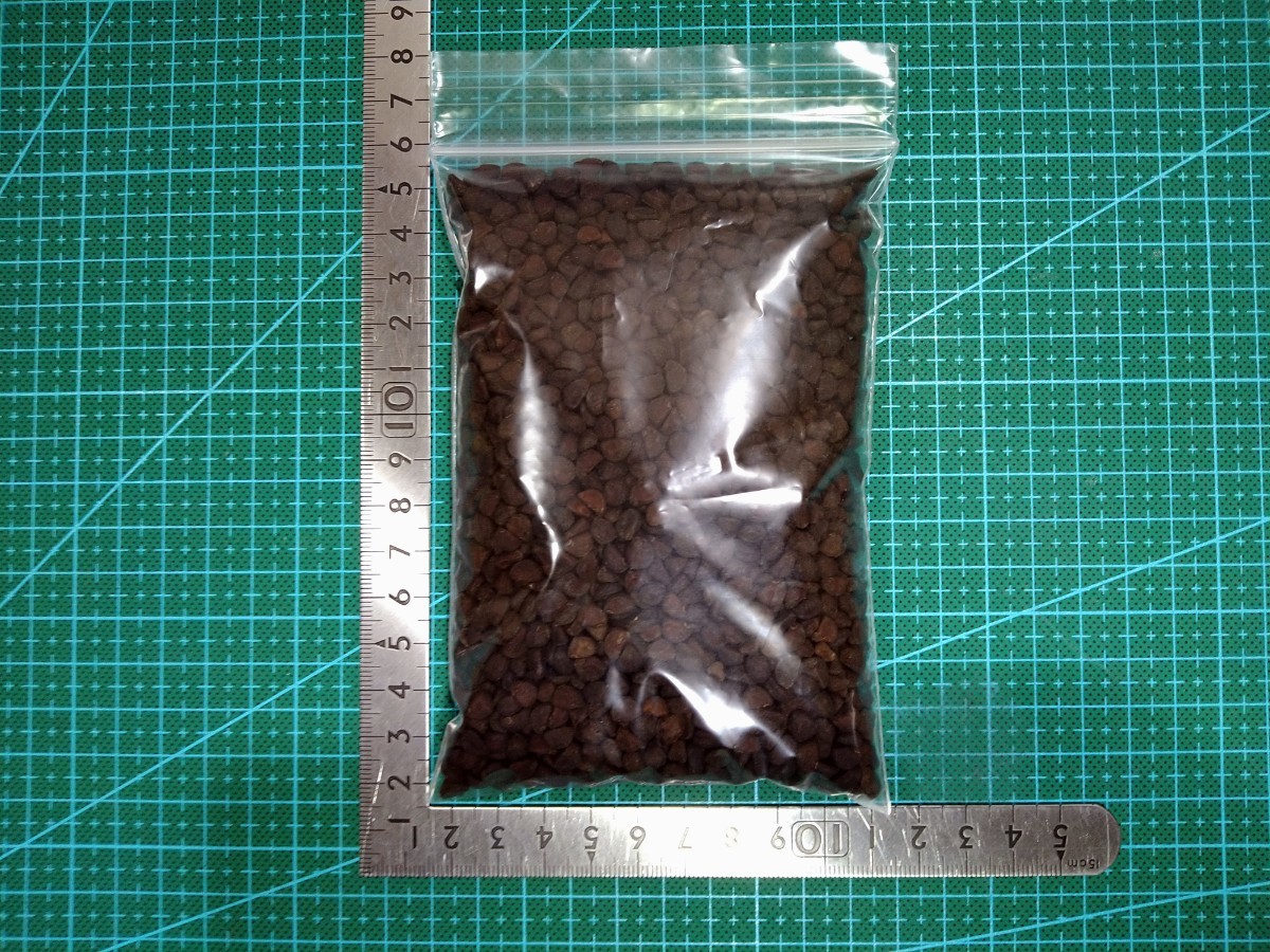 大量150グラム】朝顔の種 ☆あさがおのたね アサガオのタネ 自家採取