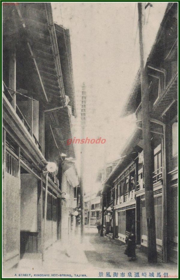 c3305【絵葉書】兵庫【城崎温泉街風景】明治大正期